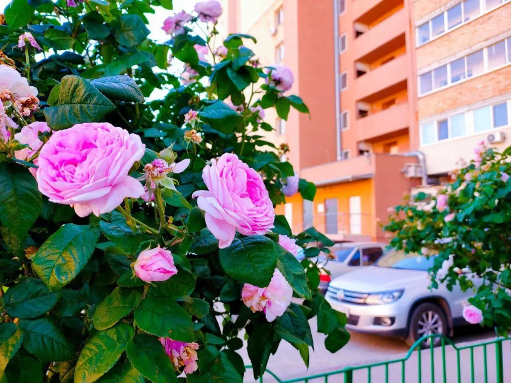 Hotel front